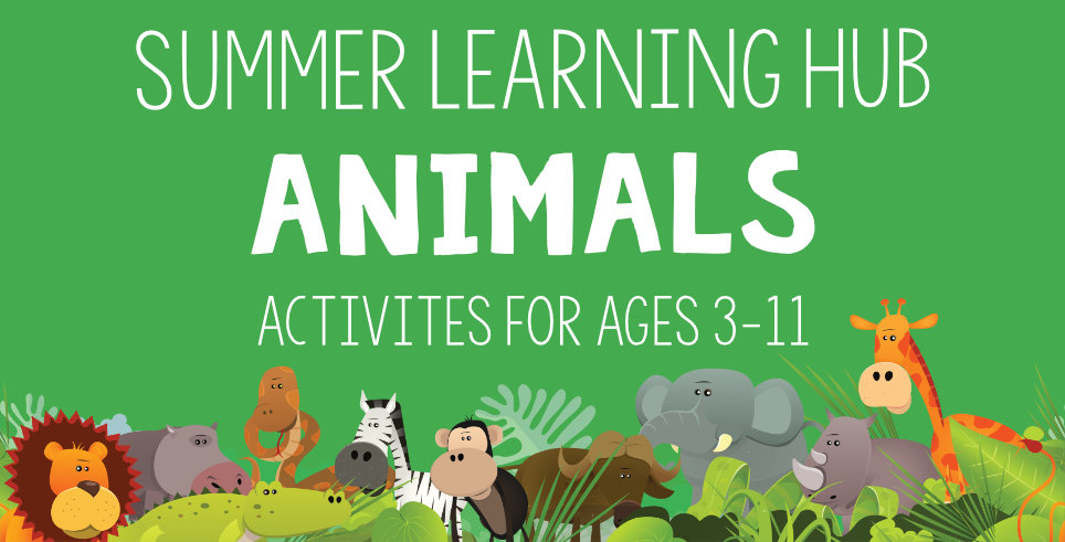 Summer Learning Hub Week 5 Animals