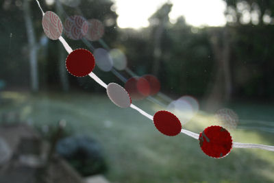 Red and white Christmas dotty garland hung in window