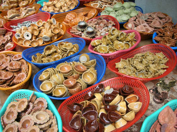 Diwali lamps for sale in the market