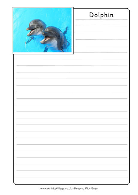 dolphin essay paper