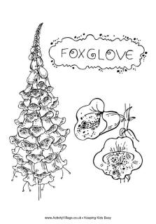 Flower colouring pages