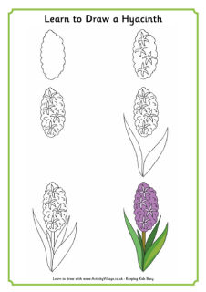 Hyacinths