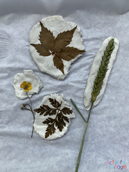 Leaves and flowers ready to be pressed into clay with a book