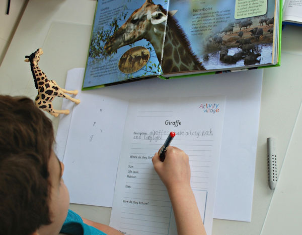 Completing the giraffe fact finding worksheet