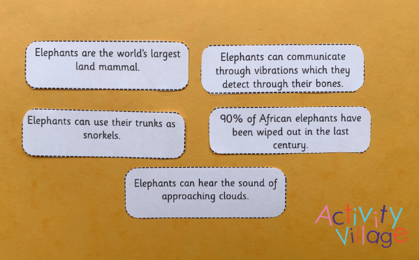 Cutting out the facts for our elephant fact booklet