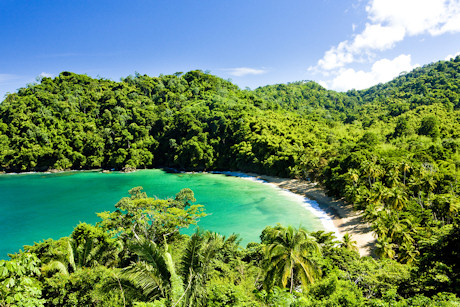 Englishman's Bay, island of Tobago, Trinidad and Tobago
