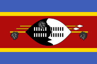 Eswatini flag printable