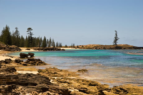 Norfolk pines line the bays near Kingston, the old penal settlement and now capital of Norfolk Island