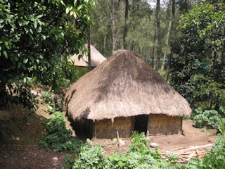Village huts in the highlands of Papua New Guinea