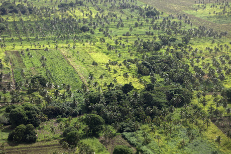 Rural Tonga - an aerial view of Tongatapu Island