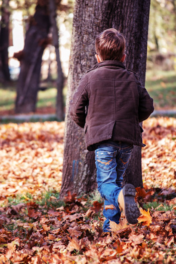 Toddlers love trees!