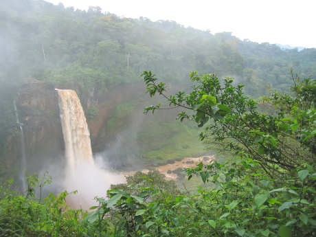Waterfall in the tropical jungle, Cameroon