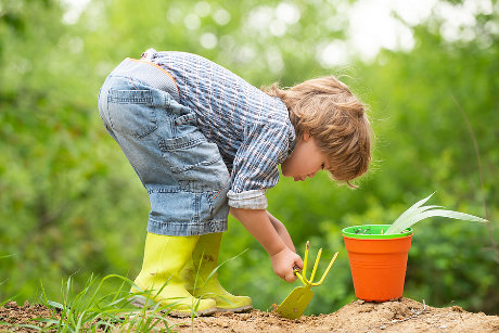 World Food Day Activities for Children