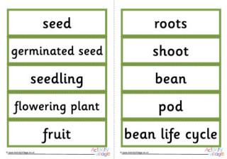 Life Cycle Word Cards