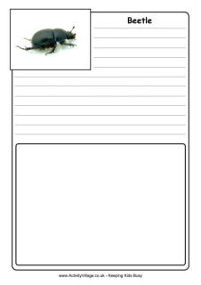 Minibeast Handwriting Worksheets