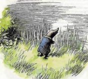 Mole, original illustration from The Wind in the Willows by EH Shepard
