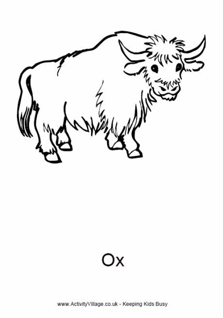 Ox Colouring Page