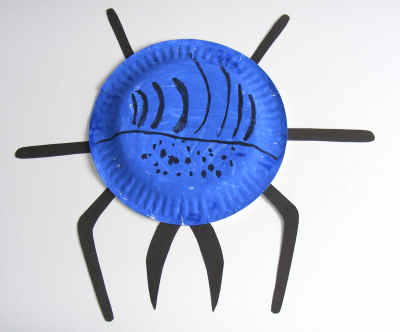Sam's paper plate beetle