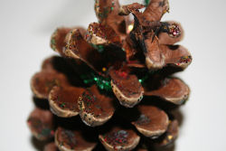pinecone decoration with glitter