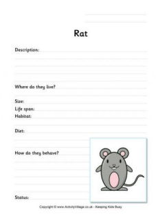 Rat Worksheets