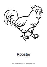 Rooster coloring pages