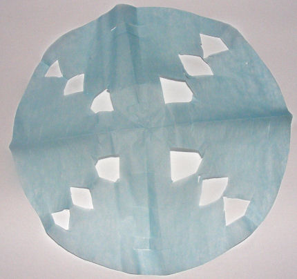 Tissue paper snowflake by Sam