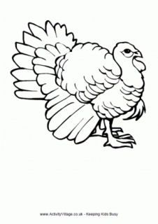 Turkey Colouring Pages