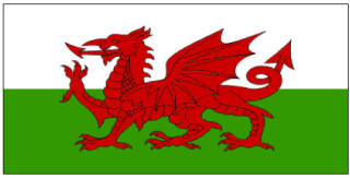 Welsh flag printable, three sizes