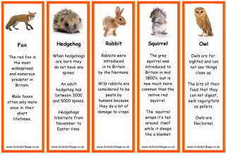 Wildlife bookmarks - facts