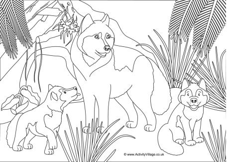 Wolves Colouring Page
