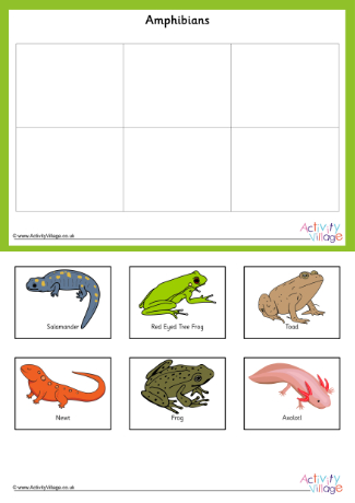 Animal classification memory game