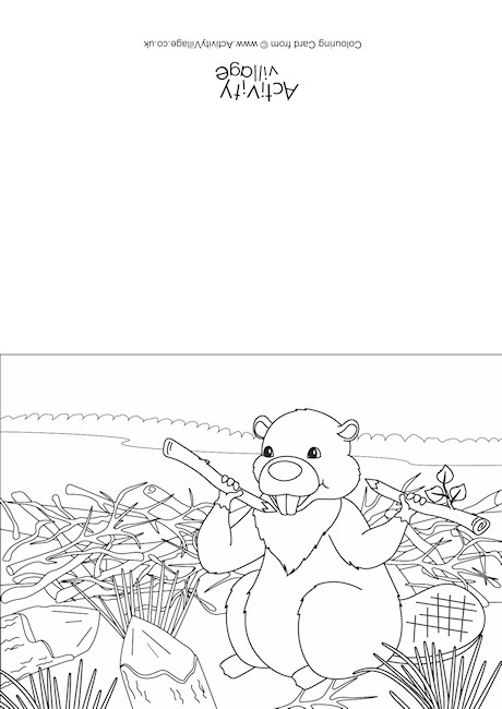 Beaver Scene Colouring Card