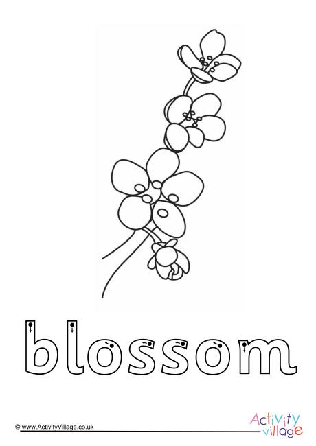 Blossom Finger Tracing