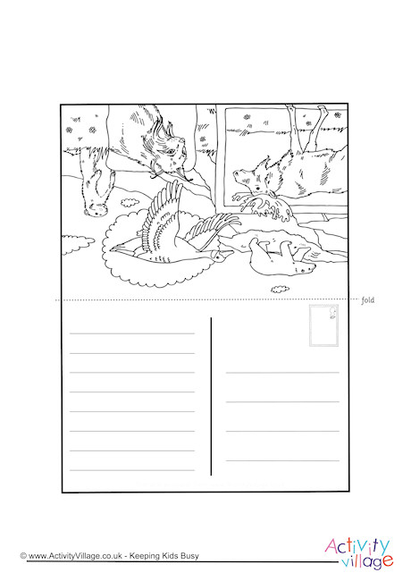 Canadian Wildlife Colouring Postcard