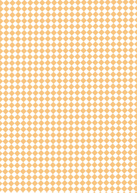 Charming Checks Scrapbook Paper Orange