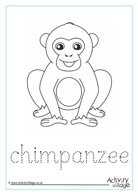 Chimpanzee Word Tracing