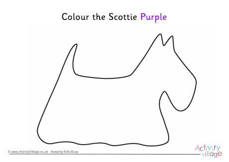 Colour the Scottie purple