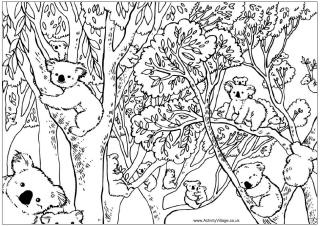 Aussie animals colouring pages