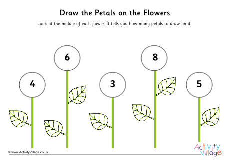 Draw petals on flowers