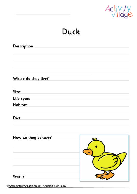 Duck Worksheet