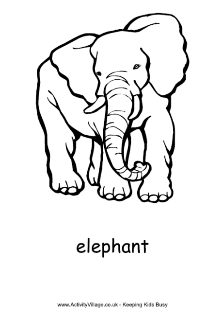 Elephant Colouring Page