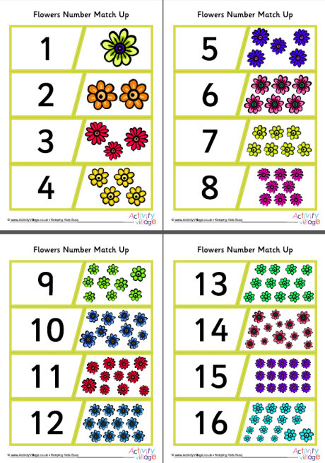 Flowers number match up
