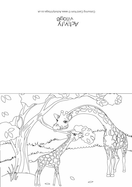 Giraffes Scene Colouring Card