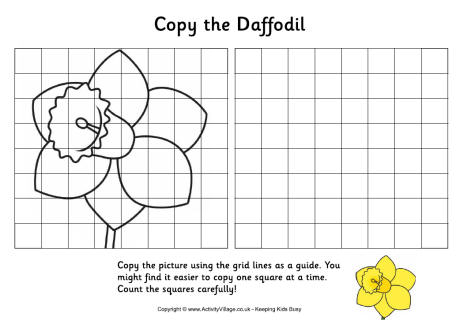 Daffodil grid copy