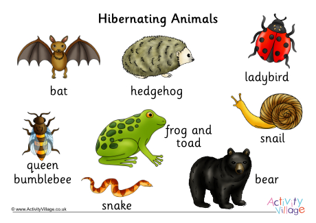 Hibernating animal word mat
