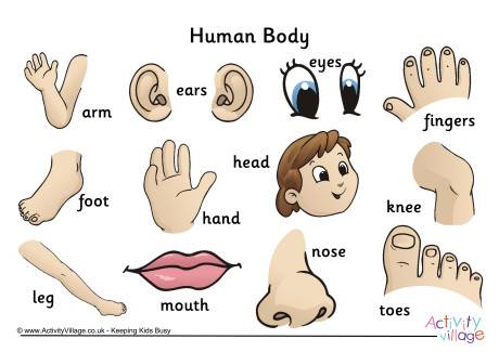 Human Body Word Mat