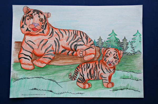 The completed tiger scene colouring page