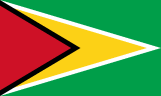 Guyana flag printable