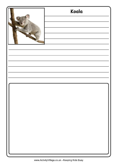 Koala notebooking page