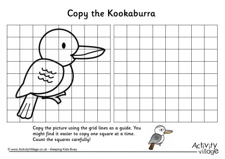 Kookaburra grid copy